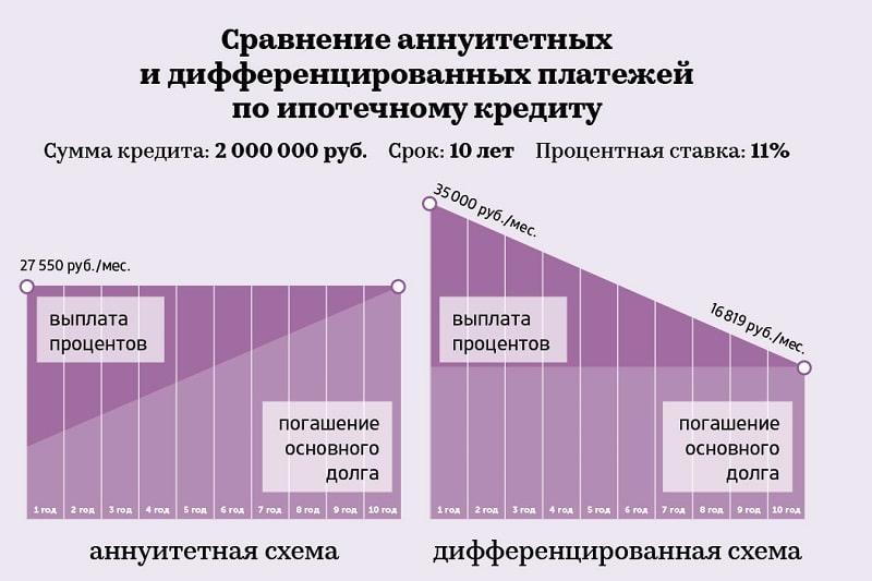 800×533