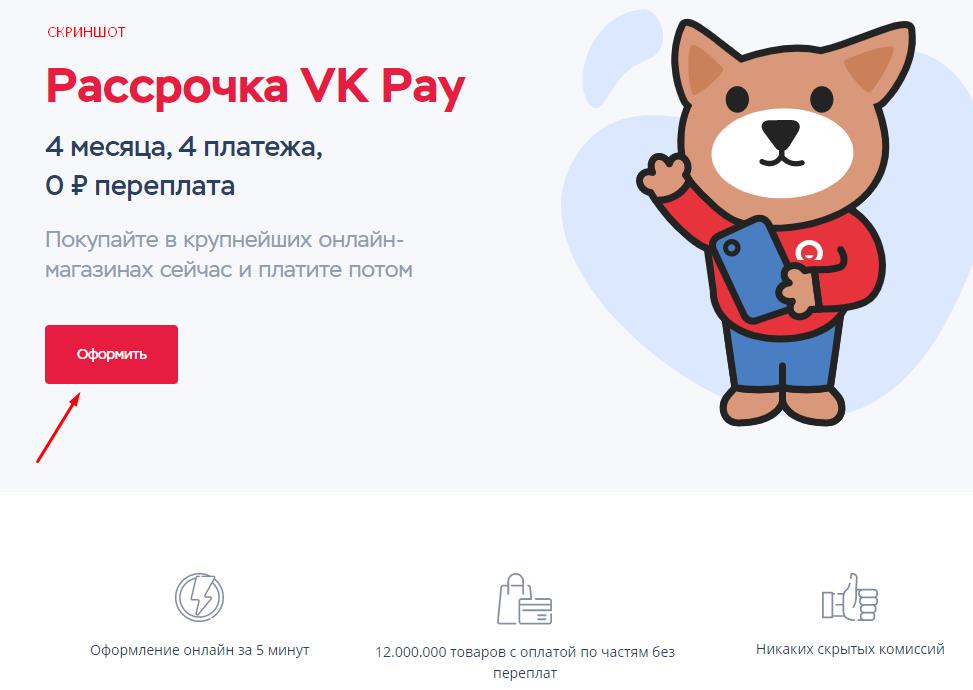 маскот vkpay