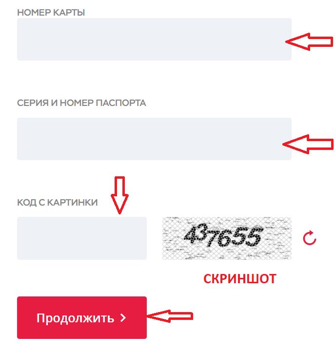 проверка паспорта на действительность